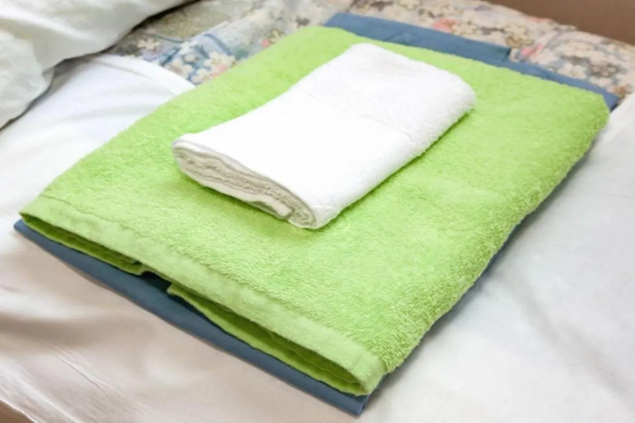 Hotel Raizan / Vacation Stay 9368 Osaka 2*,  Japan